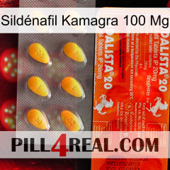 Sildénafil Kamagra 100 Mg new01
